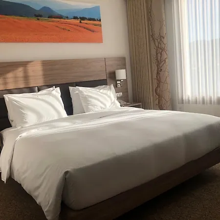 Hilton Garden Hotel