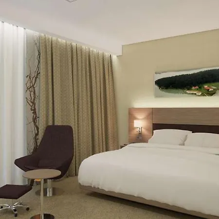 Hotel Hilton Garden
