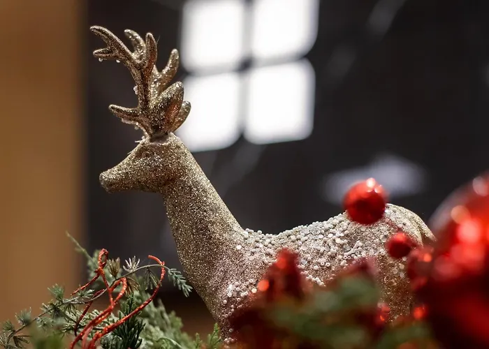 Hilton Garden 4* Тирана